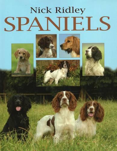 Spaniels