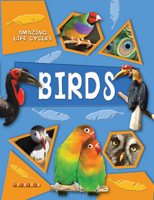 Amazing Life Cycles: Birds