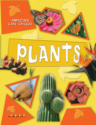 Plants