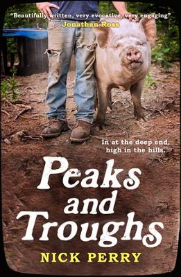 Peaks and Troughs