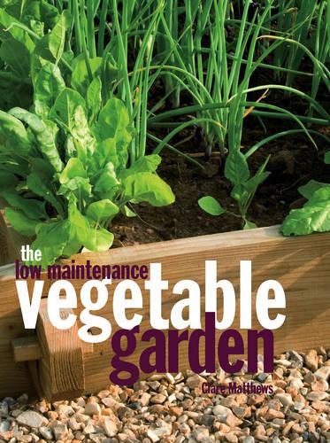 Low-Maintenance Vegetable Garden