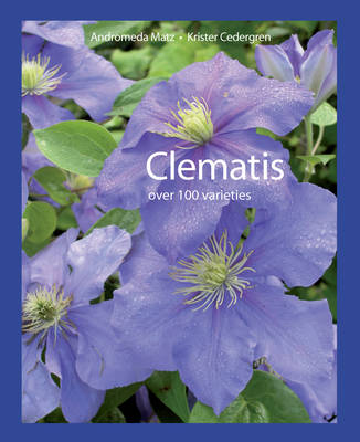 Clematis