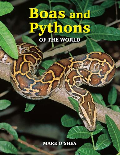 Boas and Pythons of the World