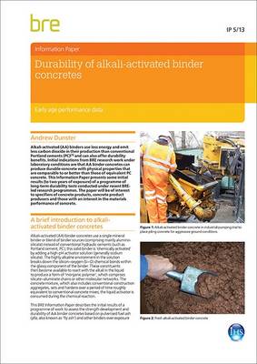 Durability of Alkali-activated Binder Concretes: Early Age Performance Data