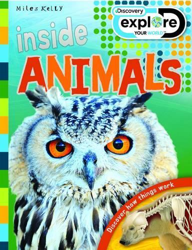 Discovery Inside: Animals