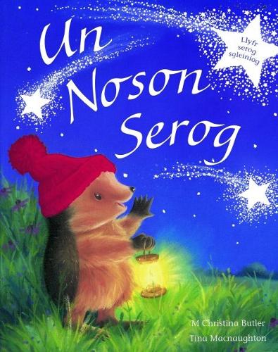 Cyfres Draenog Bach: Un Noson Serog
