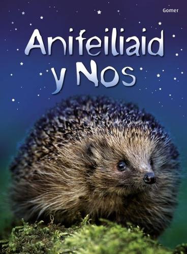 Cyfres Dechrau Da: Anifeiliaid y Nos