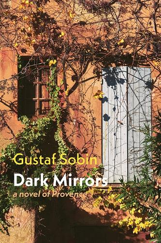 Dark Mirrors