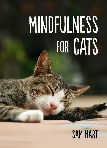 Mindfulness for Cats