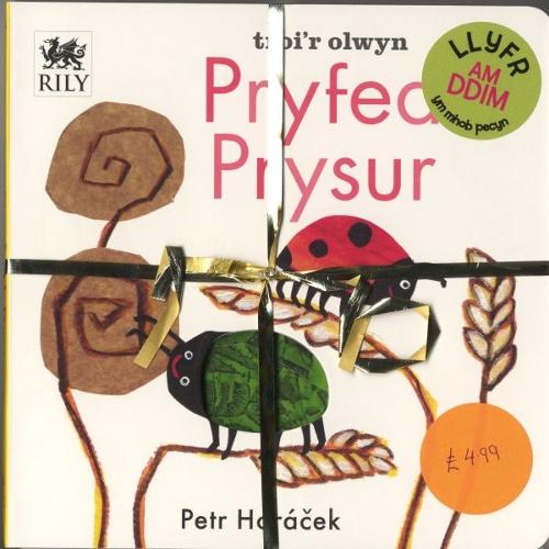 Pecyn Nos Da a Pryfed Prysur