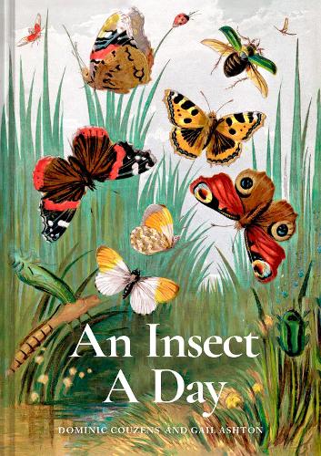 An Insect A Day Volume 6