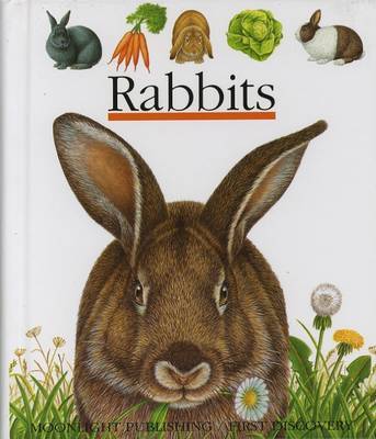Rabbits