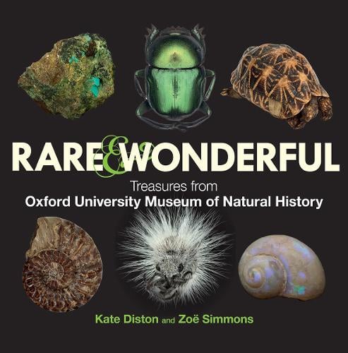 Rare & Wonderful
