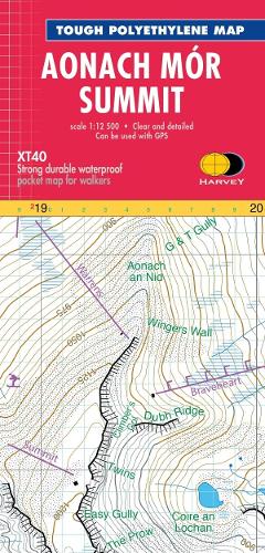 Aonach MOR Summit Map