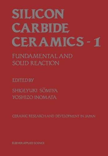 Silicon Carbide Ceramics