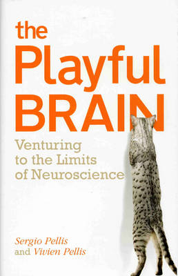 The Playful Brain
