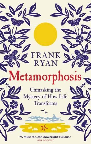 Metamorphosis
