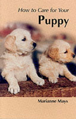 How to Care for Your Puppy