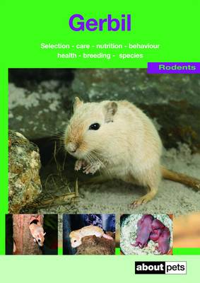 The Gerbil