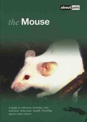 The Mouse