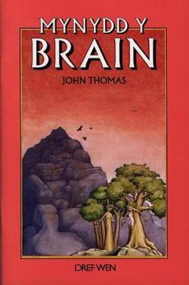 Cyfres Darllen Stori: Mynydd y Brain