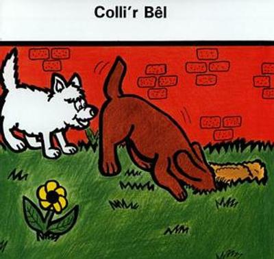 Cyfres RNIB: Colli'r B