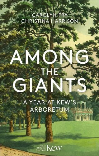 Among the Giants