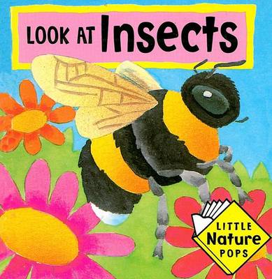 Look at Insects