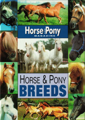 Horse and Pony Breeds