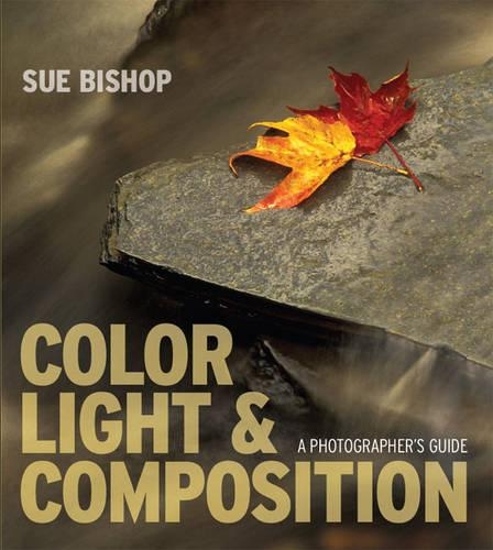 Color, Light and Composition
