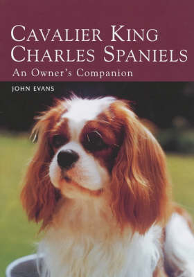 Cavalier King Charles Spaniels