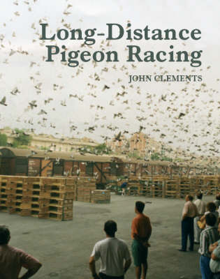 Long-Distance Pigeon Racing