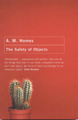 The Safety of Objects