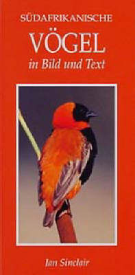 Sudafrikanische Vogel in Bild Und Text