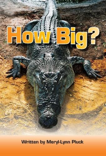 How Big