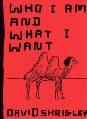 Who I am and What I Want