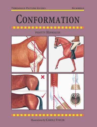Conformation
