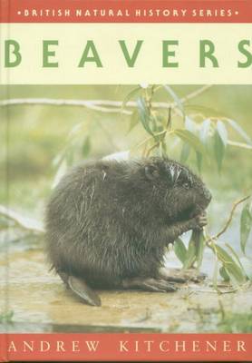 Beavers