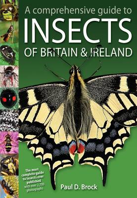 A Comprehensive Guide to Insects of Britain and Ireland