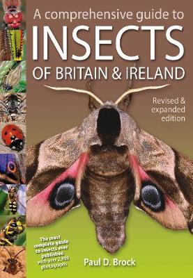 A Comprehensive Guide to Insects of Britain and Ireland