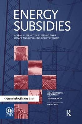 Energy Subsidies