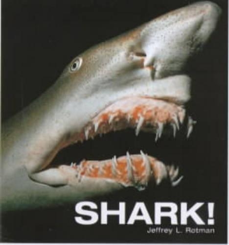 Shark!