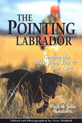 Pointing Labrador