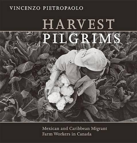 Harvest Pilgrims