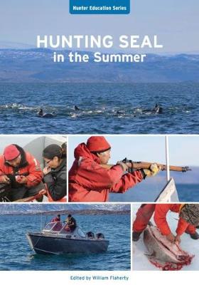 Hunting Seal in the Summer