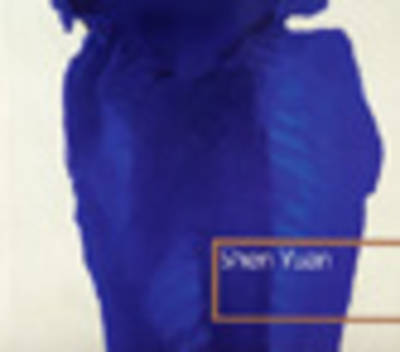 Shen Yuan