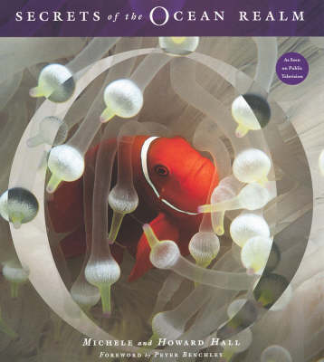 Secrets of the Ocean Realm