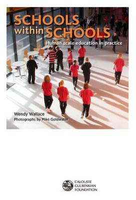 Schools within Schools