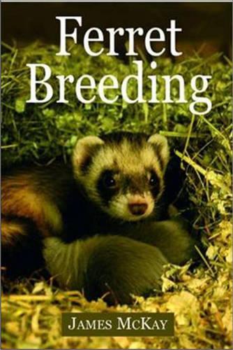 Ferret Breeding