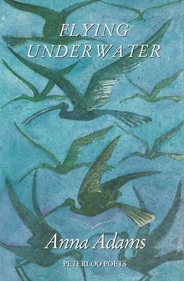 Flying Underwater
